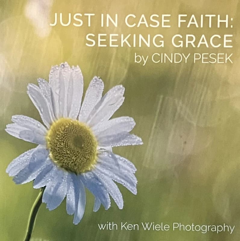 Just In Case Faith: Seeking Grace
